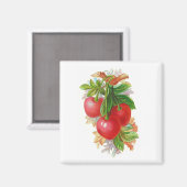  kersen magneet (Voorkant / Achterkant)