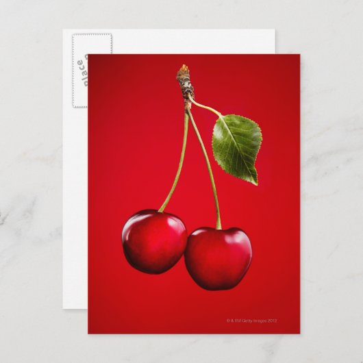 Kersen met blad op rode achtergrond briefkaart (Voorkant / Achterkant)