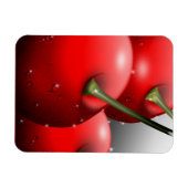 Kersen met dauwdruppels magneet (Horizontaal)