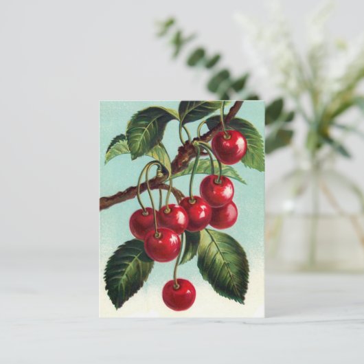  kersen op een filiaal Briefkaart (Staand voorkant)