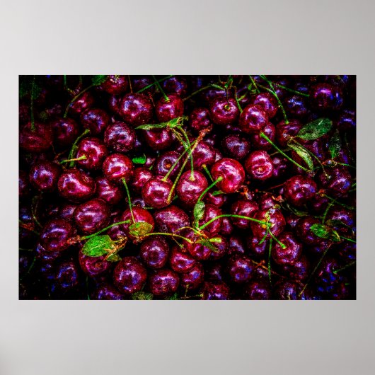 Kersen Poster (Voorkant)