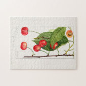 Kersen (Prunus Avium) Waterverf-schilderijen Legpuzzel (Horizontaal)