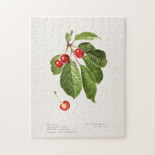 Kersen (Prunus Avium) Waterverf-schilderijen Legpuzzel