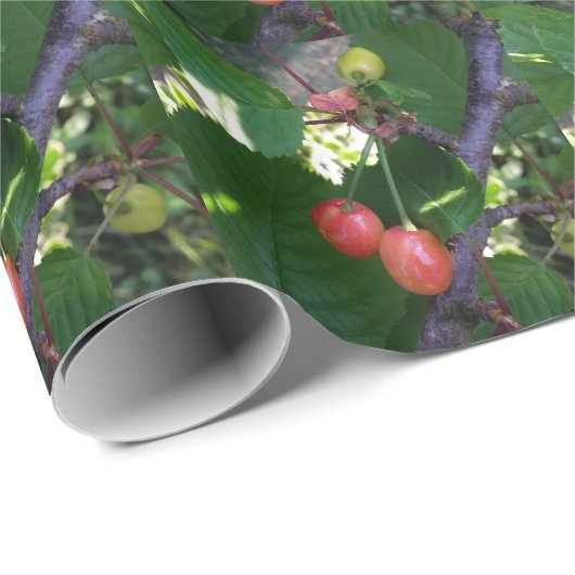 Kersen rood cadeaupapier (Rol Hoek)