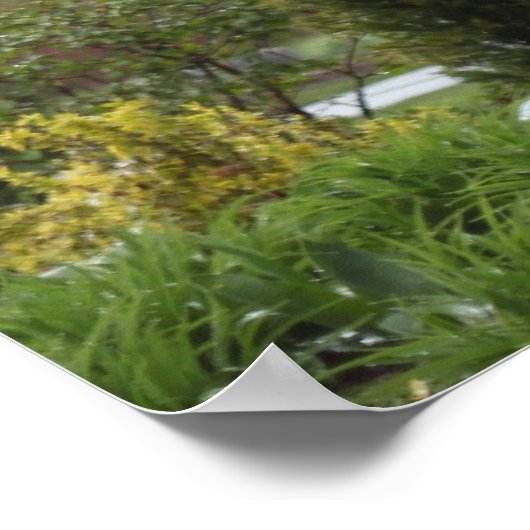 kersenbloeiende boom in de regen poster (Hoek)