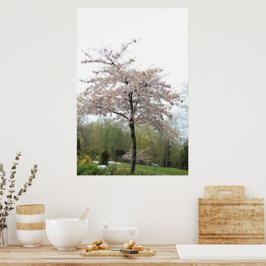 kersenbloeiende boom in de regen poster (Keuken)