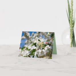 Kersenbloesem. Bedankkaart