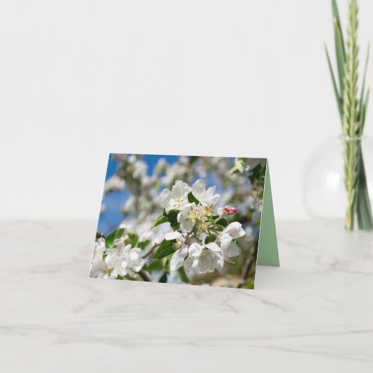 Kersenbloesem. Bedankkaart (Voorkant)