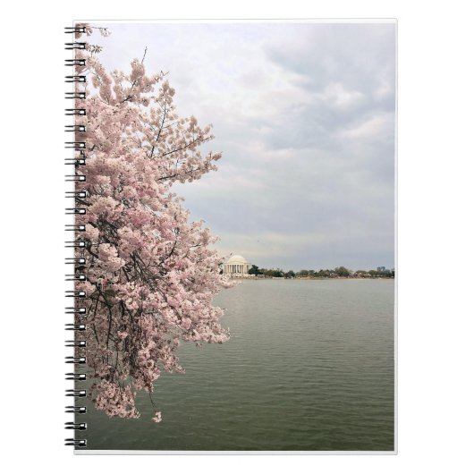 Kersenbloesem bij het Tidal Basin Notitieboek (Voorkant)