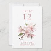  kersenbloesem bloesem tafel Nummerteken Kaart (Voorkant)