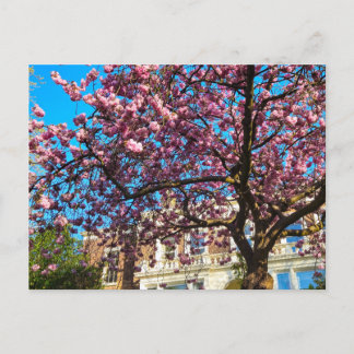 Kersenbloesem Briefkaart