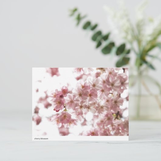 kersenbloesem briefkaart (Staand voorkant)