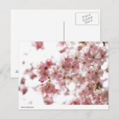 kersenbloesem briefkaart (Voorkant / Achterkant)