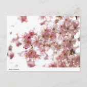 kersenbloesem briefkaart (Voorkant)