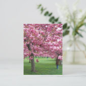 Kersenbloesem Briefkaart (Staand voorkant)