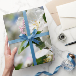 Kersenbloesem. Cadeaupapier