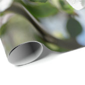 Kersenbloesem. Cadeaupapier (Rol Hoek)