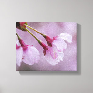 Kersenbloesem Canvasprint Canvas Afdruk