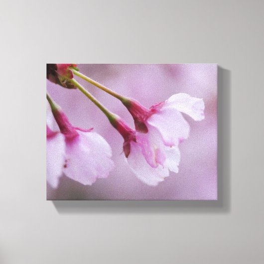 Kersenbloesem Canvasprint Canvas Afdruk (Voorkant)