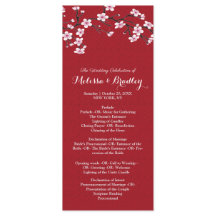 Kersenbloesem ceremonie Programma