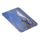 Kersenbloesem en de Fuji 2 Magneet (Rechterzijde)