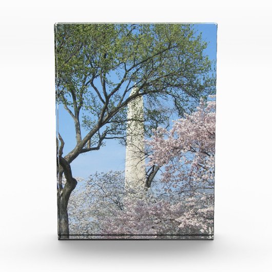 Kersenbloesem en het Washington Monument Fotoblokken (Voorkant)