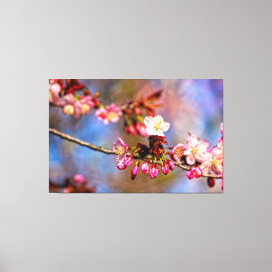 Kersenbloesem en paarse knoppen op een zonnige dag canvas afdruk