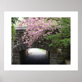 Kersenbloesem en Stenen Brug Foto Poster