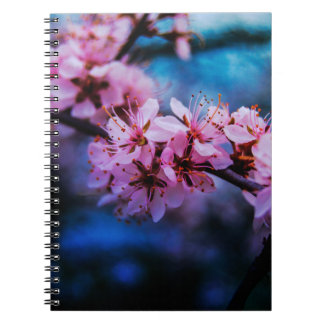 Kersenbloesem Fijn Kunst Foto Spiraal Notebook Notitieboek