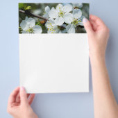 Kersenbloesem Flyer (Hand)