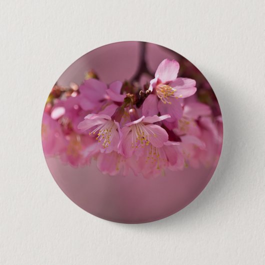 Kersenbloesem Hot Spring 2012 Kleding & Cadeaus Ronde Button 5,7 Cm (Voorkant)