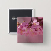 Kersenbloesem Hot Spring 2012 Kleding & Cadeaus Vierkante Button 5,1 Cm (Voorkant /achterkant)