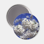 Kersenbloesem ijskastmagneet magneet (Voorkant / Achterkant)