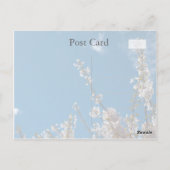 Kersenbloesem in blauwe lucht denken aan jou briefkaart (Achterkant)