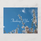 Kersenbloesem in blauwe lucht denken aan jou briefkaart (Voorkant)