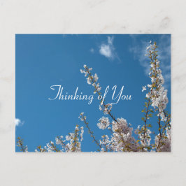 Kersenbloesem in blauwe lucht denken aan jou briefkaart