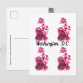 Kersenbloesem in Washington, D.C. Briefkaart (Voorkant / Achterkant)