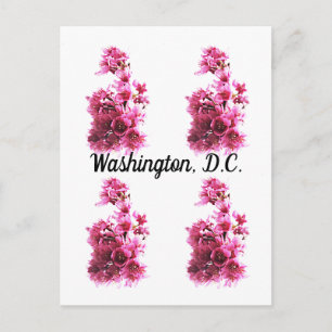 Kersenbloesem in Washington, D.C. Briefkaart