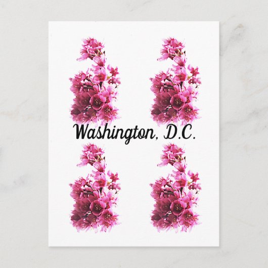 Kersenbloesem in Washington, D.C. Briefkaart (Voorkant)