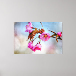 Kersenbloesem in zachte roze kleuren in de lente canvas afdruk