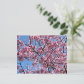 Kersenbloesem: Japan Briefkaart (Staand voorkant)