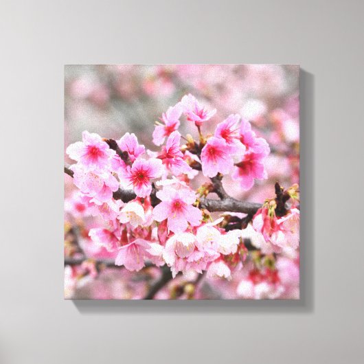 Kersenbloesem Japans bloemenroze sakura Bloemen Canvas Afdruk (Voorkant)