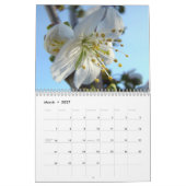 KERSENBLOESEM Kalender Appelbloesem Peer Perzik (Mar 2027)