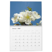KERSENBLOESEM Kalender Appelbloesem Peer Perzik (Jan 2027)