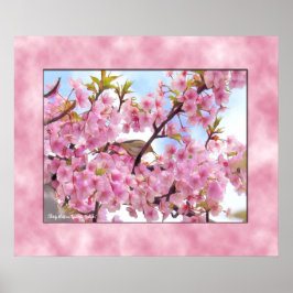 Kersenbloesem "Kawazu-Zakura" poster