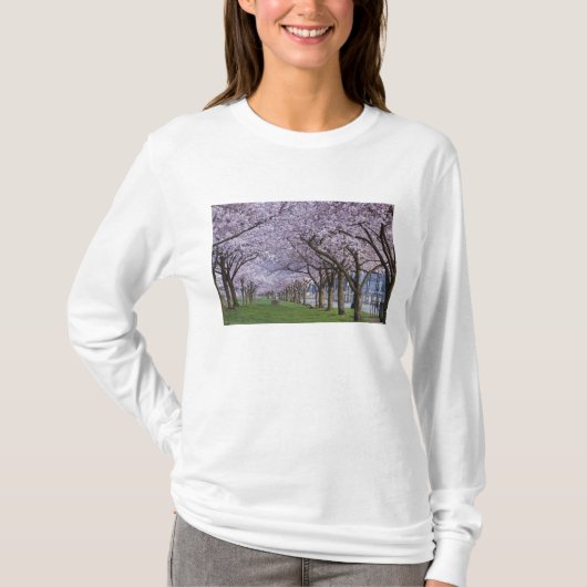 Kersenbloesem langs de Willamette rivier, VS T-shirt (Voorkant)