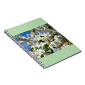 Kersenbloesem. Notitieboek (Rechterzijde)