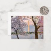 Kersenbloesem Notitiekaartje (Voorkant / Achterkant in situ)