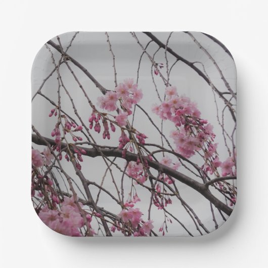 Kersenbloesem Papieren Bordje (Voorkant)