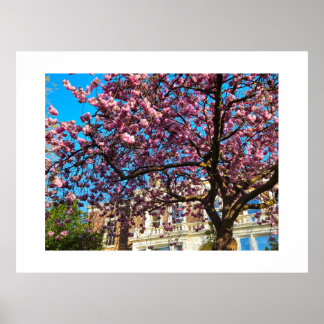 Kersenbloesem Poster